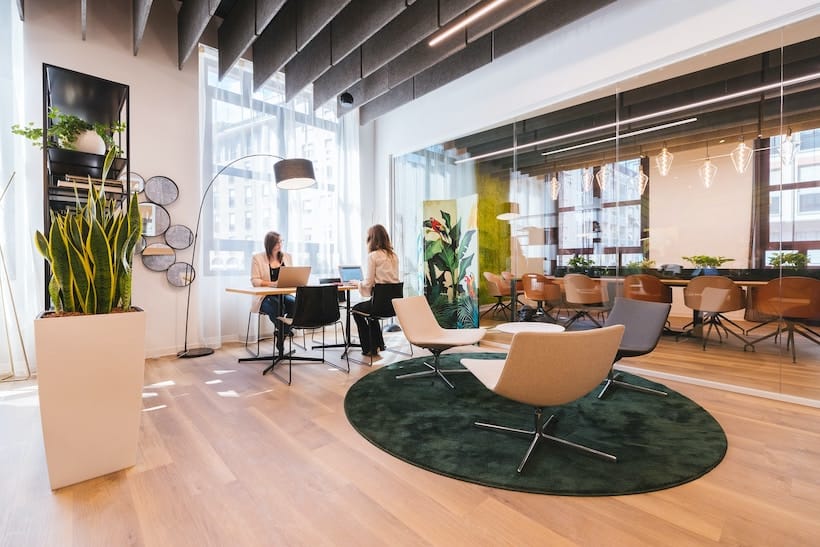 A modern office with a wooden floor and green plants.